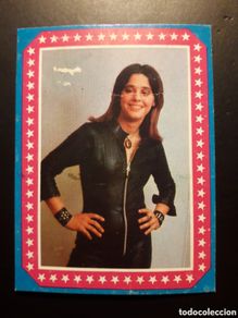 Coleccionismo cromos antiguos: SUZI QUATRO ESTRELLAS, ED ESTE 1974 N° 80 DESPEGADO, FALLO FRONTAL PEDIDO MÍNIMO 3€